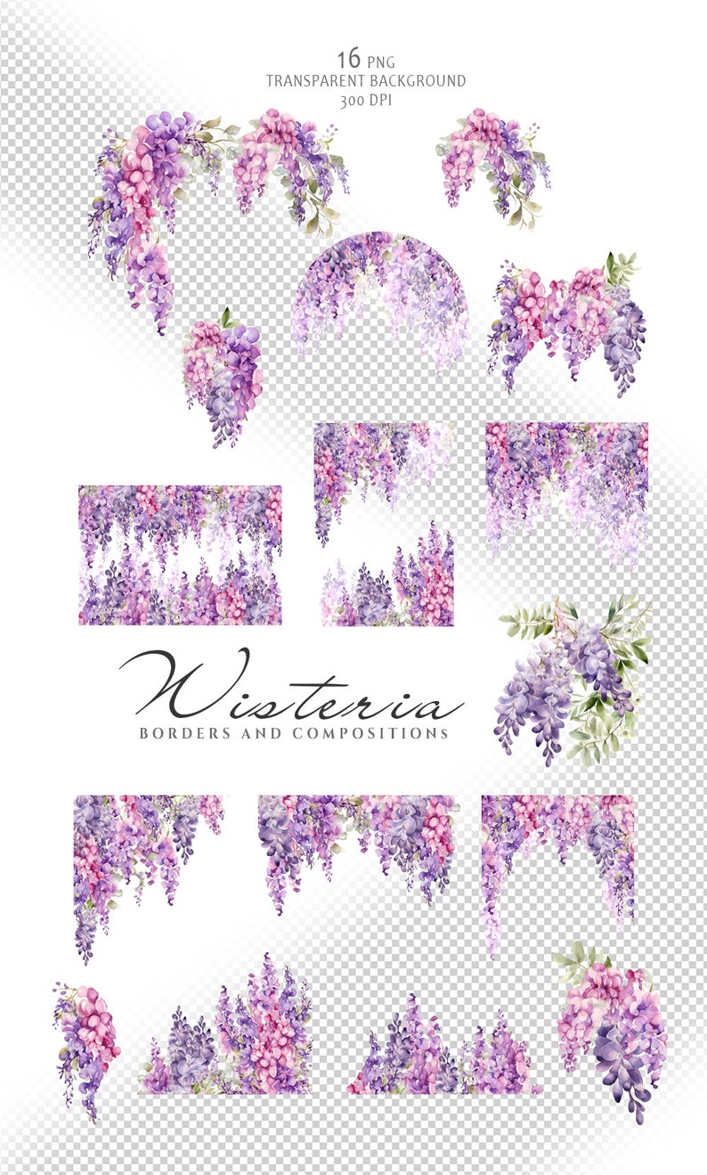 May include: A set of 16 digital images featuring watercolor illustrations of wisteria flowers. The images include borders, compositions, and individual flower clusters. The flowers are in shades of purple and pink, with green leaves.