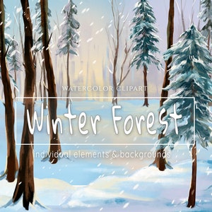 Clipart foresta invernale, paesaggio boschivo, clipart albero di pino, paesaggio invernale ad acquerello, sfondo di alberi di conifere, scena innevata, Natale