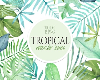 Tropical Clipart, Watercolor Tropical Leaves, Green Leafs, Exotic leaves, Palm Leaves, Palm Leaf, Monstera Clipart, Greenery Clip Art, PNG