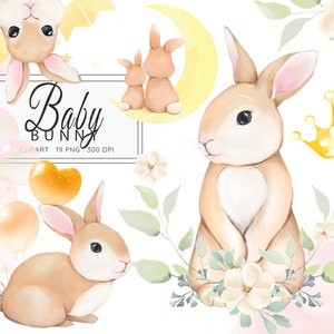 Watercolor Rabbit, Mother and Baby Bunny Clipart, Watercolor Little Animals, Baby Shower, Woodland Animals Clip Art, Nursery Cute Bunny, PNG