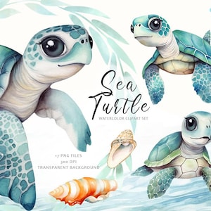 Wasserschildkröte Clipart, Aquarell niedliche Schildkröten, Baby-Dusche Clipart, Ozean Tiere Clipart, Kindergarten Schildkröte, Nautisch, Aquarell Unterwasser PNG