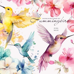 Clipart colibris aquarelle, oiseaux tropicaux avec fleurs, oiseaux printaniers aquarelle, clipart floral aquarelle, clipart petits oiseaux, perroquet