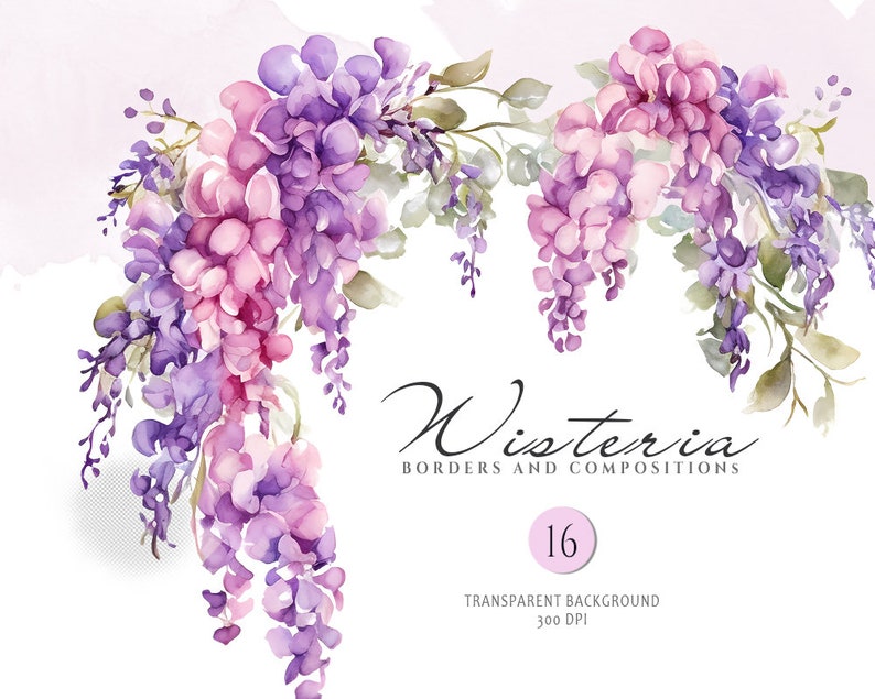 May include: Watercolor illustration of a purple and pink wisteria flower border. The image is labeled "Wisteria Borders and Compositions" and "16 Transparent Background 300 DPI".