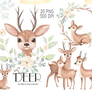 Ciervo en acuarela, imágenes prediseñadas de ciervo bebé, pequeños animales en acuarela, ciervo lindo, imágenes prediseñadas para baby shower, ilustración de ciervo madre, gráficos para guardería