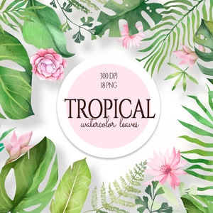 Tropical Foliage, Watercolor Leaves Clipart, Tropical Palm Leaf, Jungle Plants, Watercolor Botanical Monstera, Safari Leaves, Exotic Clipart