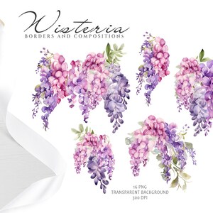 May include: A set of 16 watercolor illustrations of wisteria flowers in shades of purple and pink. The flowers are arranged in various compositions, perfect for creating borders or adding a touch of floral beauty to your designs.