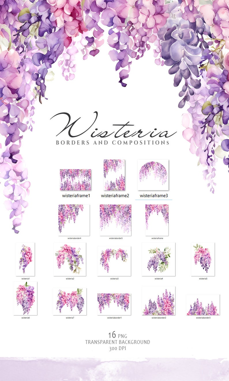 May include: A set of 16 digital illustrations of purple and pink wisteria flowers in various arrangements. The illustrations are perfect for creating borders, frames, and compositions for digital projects.