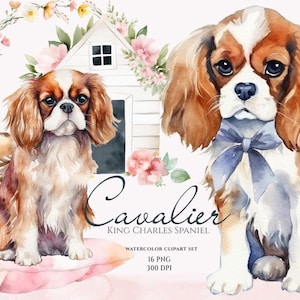Cavalier King Charles Spaniel Clipart, Cavalier em aquarela, Cães fofos, Clipart de animais bebês, Gráficos de filhotes, Clipart de animais fofos, Amantes de cães