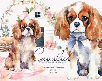 Cavalier King Charles Spaniel Clipart, Watercolor Cavalier, Cute Dogs, Baby Animals Clipart, Puppy Graphics, Cute Pets Clipart, Dog Lovers