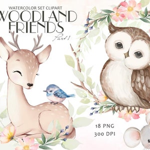 Clipart animali del bosco, animali della foresta, animali carini ad acquerello, clipart per asilo nido, clip per baby shower, cervo, topo carino, scoiattolo, gufo, PNG