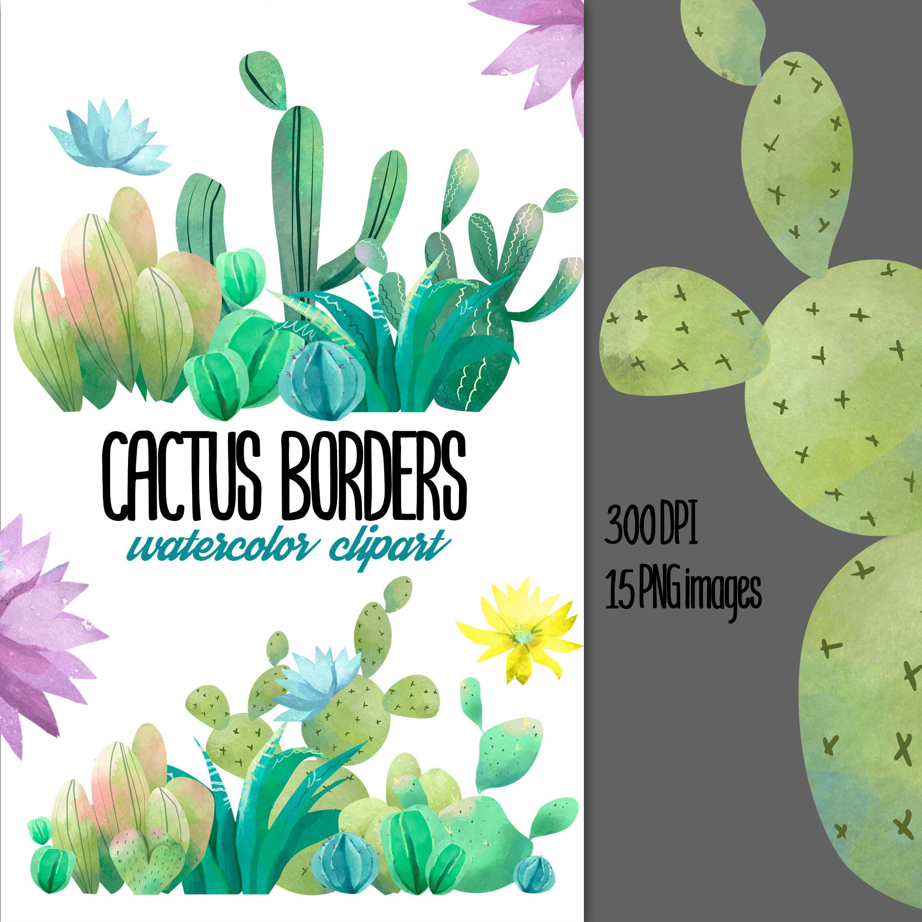 Cactus Borders Clipart Watercolor Cacti Tropical Succulents | Etsy