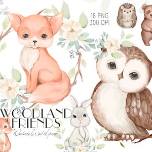 Woodland Animals Clip Art,  Watercolor Little Animals, Forest Animals Clipart, Hedgehog, Fox, Squirrel, Bear, Hedgehog, Rabbit, Owl Clipart