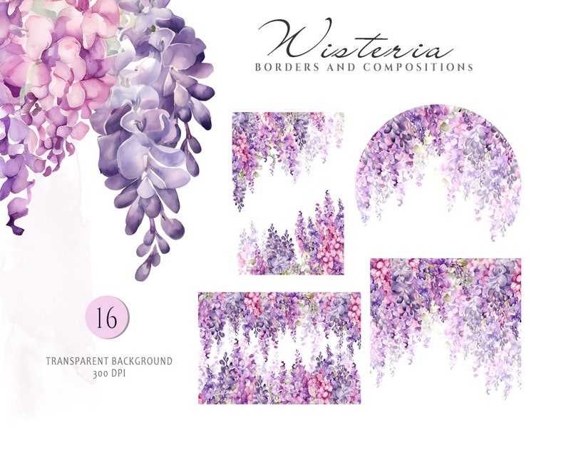 May include: A set of 16 digital watercolor illustrations of wisteria flowers. The illustrations are in shades of purple and pink and feature different arrangements of the flowers, including borders, compositions, and a single cluster of flowers. The text "Wisteria Borders and Compositions" is included in the image.