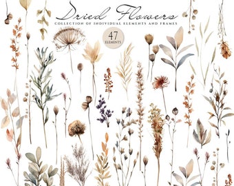 Watercolor Dried Flowers Clipart, Boho Flowers, Watercolor Floral Clipart, Pressed Flowers, Wild Flowers, Dry flowers Clipart, Meadow Floral