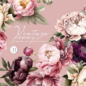 Blozen roze pioenrozen clipart, boho bloemen clipart, zomer bloemen elementen, aquarel bloemen clipart, ranonkel clipart, bordeaux pioen png