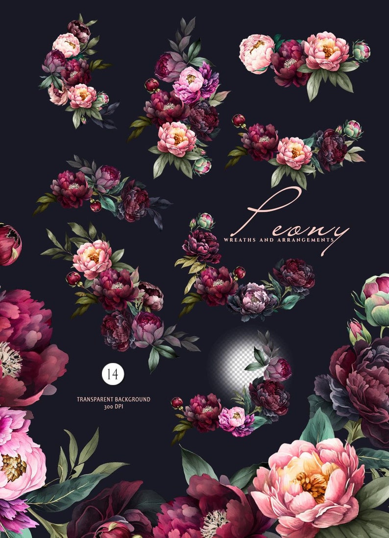 May include: A digital illustration of 14 floral arrangements featuring pink and burgundy peonies with green leaves. The text "Peony Wreaths and Arrangements" is displayed in a pink font.