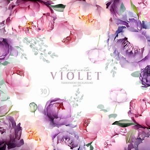 Clipart pivoines violettes, Clipart fleurs roses Boho, bordures florales d'été, Clipart floral aquarelle, Boho ramunculus, pivoine violette PNG