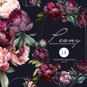 Aquarelle florale des cliparts, des cliparts de pivoines violettes, des cliparts de fleurs Boho, des cadres floraux automne, des fleurs Boho élégantes, des pivoines bordeaux, PNG