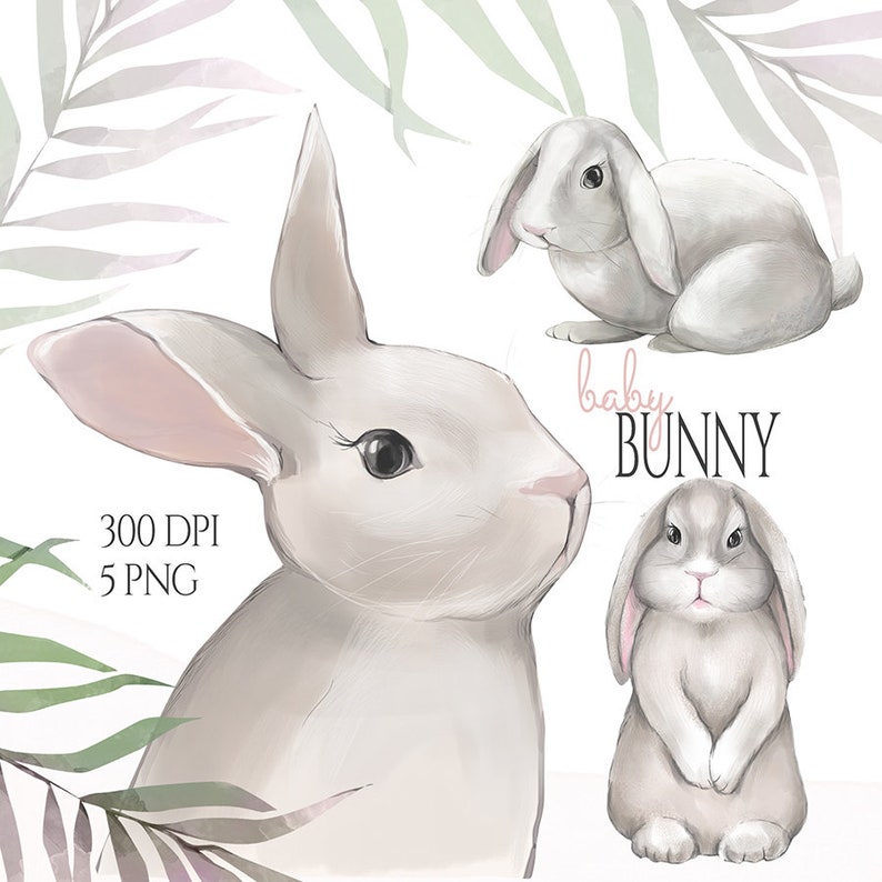 K&ouml;nnte beinhalten: Drei Aquarell-Illustrationen von Babykaninchen. Die Kaninchen sind wei&szlig; mit rosa Nasen und in verschiedenen Posen. Der Text "baby bunny" ist in schwarzen Buchstaben auf wei&szlig;em Hintergrund geschrieben.