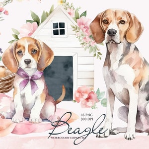 Imágenes prediseñadas de Beagle, Beagle de acuarela, perros lindos, imágenes prediseñadas de animales bebés, gráficos de cachorros, imágenes prediseñadas de mascotas lindas, ilustración linda de Beagle, amantes de los perros