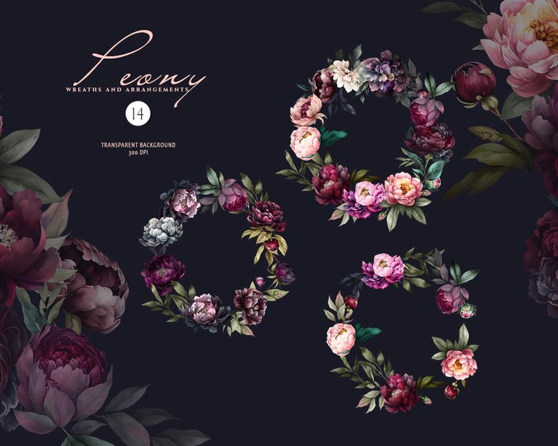 May include: Three wreaths made of dark pink, purple, and white peonies with green leaves on a dark blue background. The text "Peony Wreaths and Arrangements 14 Transparent Background 300 DPI" is at the top of the image.