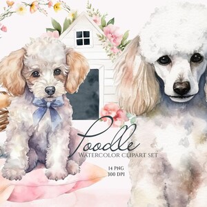 Poodle Clipart, Watercolor Poodle, Cute Dogs, Baby Animals Clipart, Puppy Graphics, Cute Pets Clipart, Cute Poodle illustration, Dog Lovers