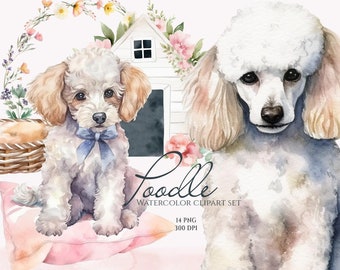 Poodle Clipart, Watercolor Poodle, Cute Dogs, Baby Animals Clipart, Puppy Graphics, Cute Pets Clipart, Cute Poodle illustration, Dog Lovers