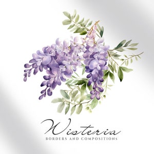 May include: Watercolor illustration of a purple wisteria flower with green leaves. The text "Wisteria Borders and Compositions" is below the flower.