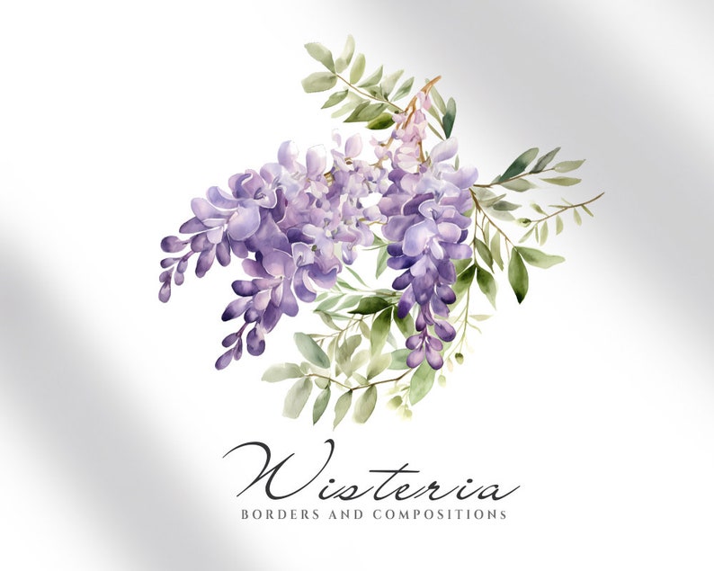 May include: Watercolor illustration of a purple wisteria flower with green leaves. The text "Wisteria Borders and Compositions" is below the flower.