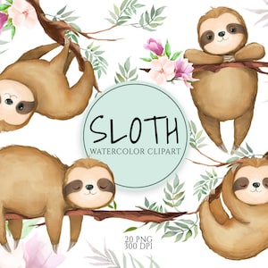 Watercolor Sloth, Baby Sloth Clipart, Little Animals, Cute Sloth, Baby Shower Clip Art, Nursery Art, Sleepy Sloth, Baby Jungle Animals, PNG