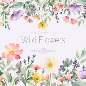 Watercolor Floral Borders Clipart, Wild Flowers Clipart, Watercolor Flowers Clipart, Premade Borders, Vintage Flower Clipart, Gypsophila PNG