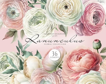 Watercolor Ranunculus Clipart: Boho Floral PNG Elements (Digital Download)