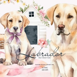 Aquarelle Labrador Clipart, chiens mignons, clipart bébés animaux, graphiques de chiot, clipart animaux mignons, illustration mignon Labrador, amoureux des chiens, PNG