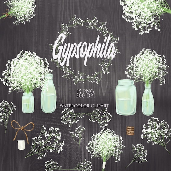 Baby's Breath Clipart, Rustic Wreath Clip Art, White Gypsophila Flower, Watercolor Floral Elements, Vintage Flowers Clipart, Mason Jar, PNG
