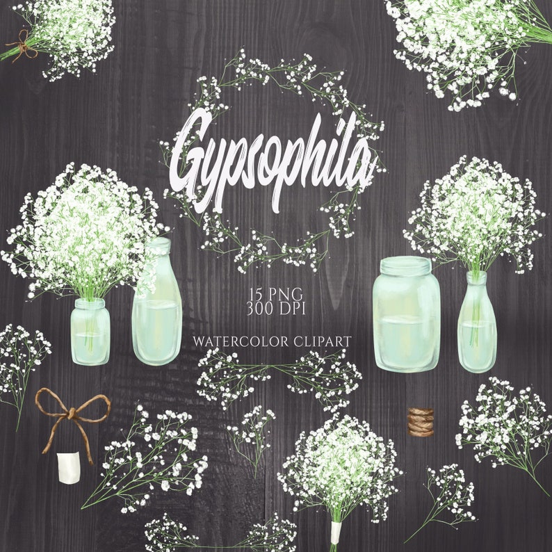 May include: Watercolor clipart set of 15 PNG images featuring baby's breath flowers in various arrangements, including bouquets, wreaths, and jars. The text "Gypsophila" is written in white cursive lettering. The images are 300 DPI.