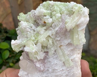 Espécimen de turmalina verde, cristal de hambergita con combinación de microlita y cuarzo, lepidolita con espécimen mineral de turmalina de Skardu