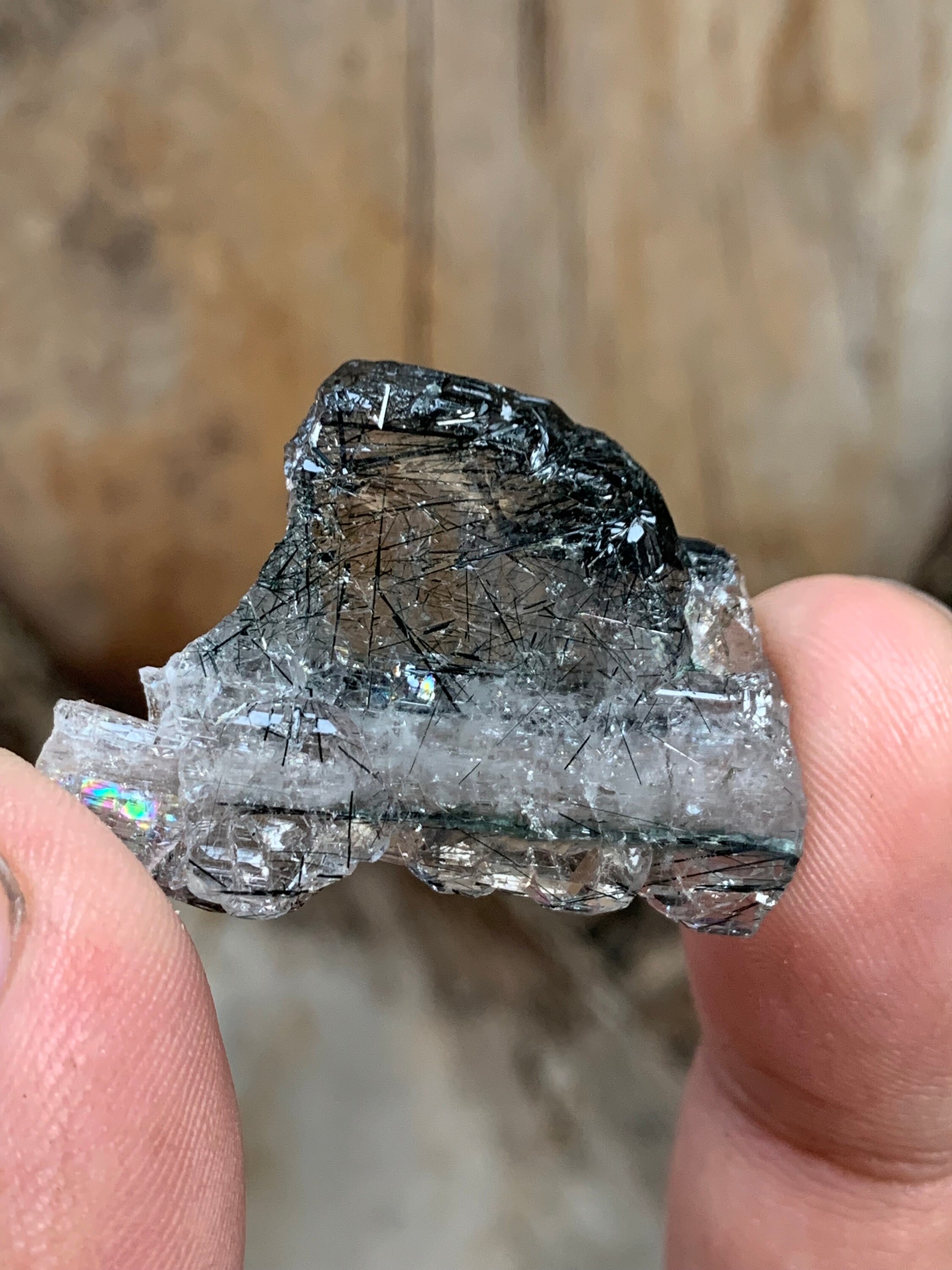 Fluorapatite Crystal With Actinolite Inclusions, White Apatite Mineral ...