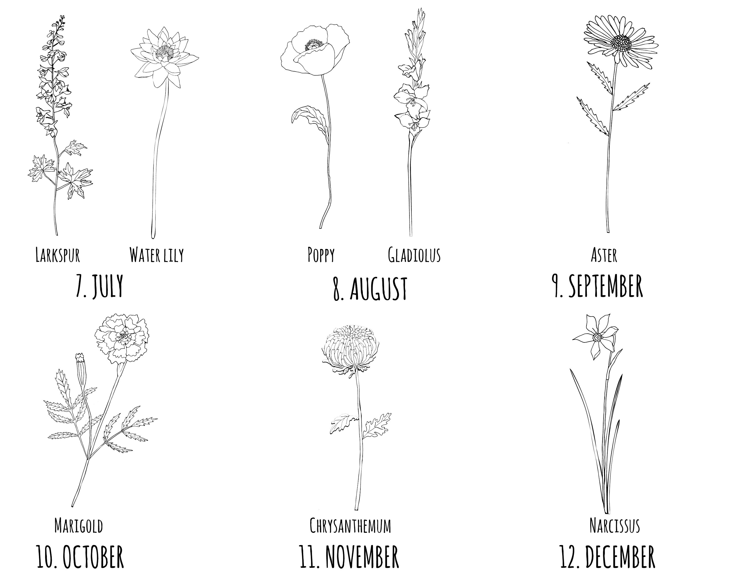 DIGITAL Custom Family Birth Flower Bouquet6 8 Etsy digital-custom-family-birth-flower-bouquet6-8-etsy