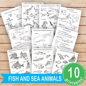 May include: A set of 10 printable colouring pages featuring various fish and sea animals. The pages include illustrations of sharks, a blue whale, deep-sea fish, freshwater fish, and more. The pages are labelled with the names of the animals and some interesting facts about them.