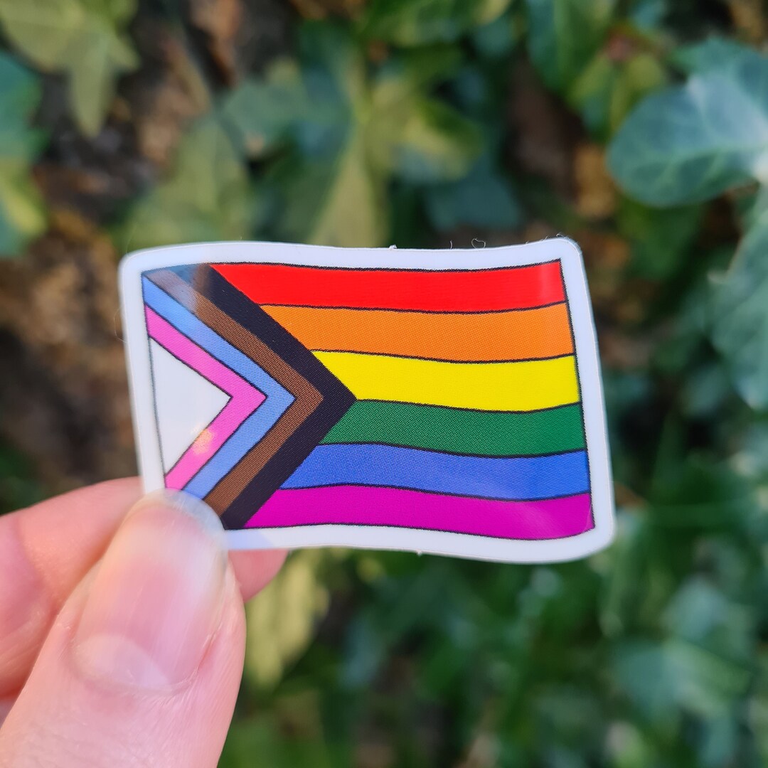 Queer Pride Progress Flag Vinyl Sticker - Etsy Österreich