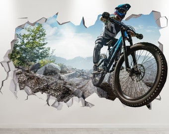 May include: A mountain biker wearing a helmet and riding a blue and black mountain bike through a rocky landscape. The scene is depicted as a hole in a white wall.