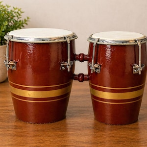 May include: A pair of conga drums with a rich, reddish-brown finish and gold stripes. The drums have white drumheads and silver hardware. The two drums are connected by a wooden bridge. A potted plant is in the background.