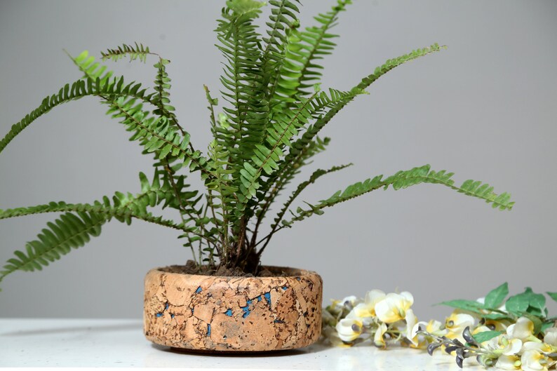 Cork Tabletop Planter, Cork Round Planter, Cork Plant Decor, Indoor