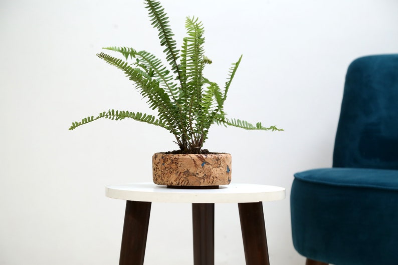 Cork Tabletop Planter, Cork Round Planter, Cork Plant Decor, Indoor