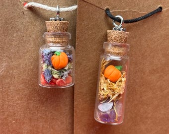 Pumpkin Bottle Charm Necklace, Crystal Chips, Dried Flowers, Polymer Clay