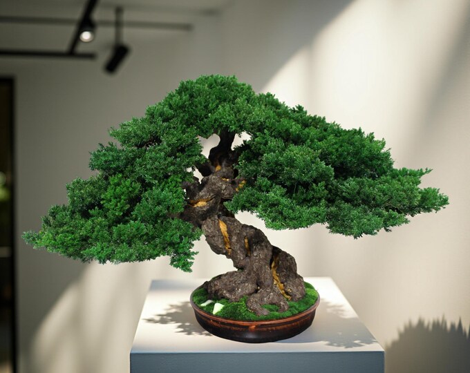 Eco Bonsai Tree - Low-Maintenance Zen Charm. 20,08" (51см) Tall.
