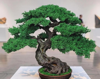 Handmade Preserved Juniper Bonsai Tree – Japanese Botanical Sculpture – One of a Kind Art – 55 cm