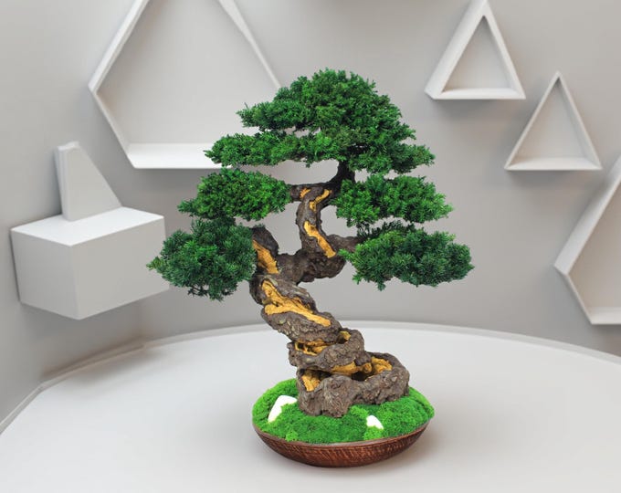 Preserved Bonsai Tree - Indoor Home Decor 16,54" (42 cm).