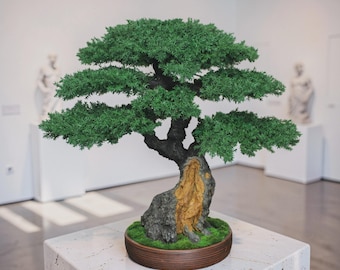 May include: A bonsai tree with dense, vibrant green foliage and a thick, textured dark brown trunk featuring a light tan, hollowed-out section. The tree is planted in a shallow, circular brown pot filled with bright green moss at the base.