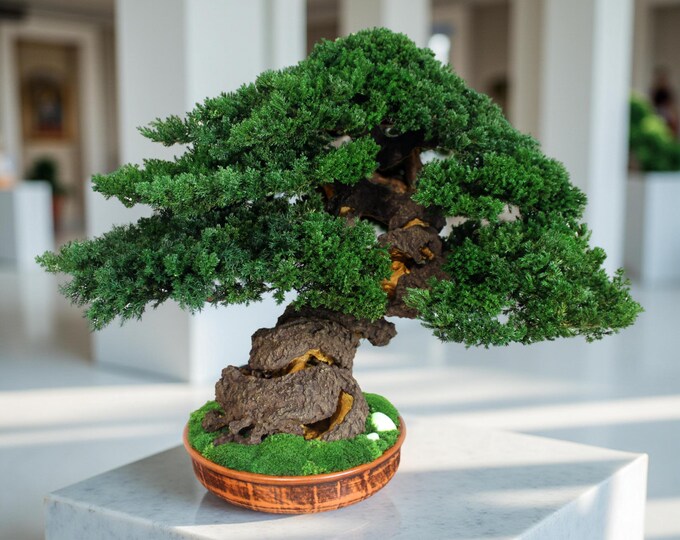 Preserved Bonsai Tree - Indoor Zen Greenery Home Decor, 20,08" (51cm).
